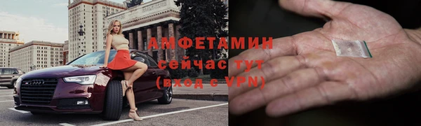 шишки Белокуриха