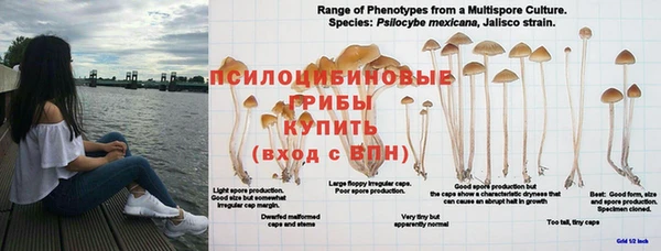 марки lsd Бородино